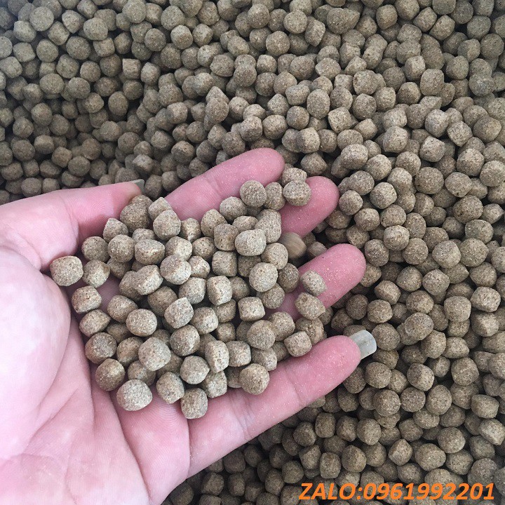 [CÁM THƠM]1KG THỨC ĂN CÁ GRRENFEED 6336 20% ĐẠM CHO CÁ ĂN HOẶC DÙNG CÂU CÁ- CÁM nuôi cá