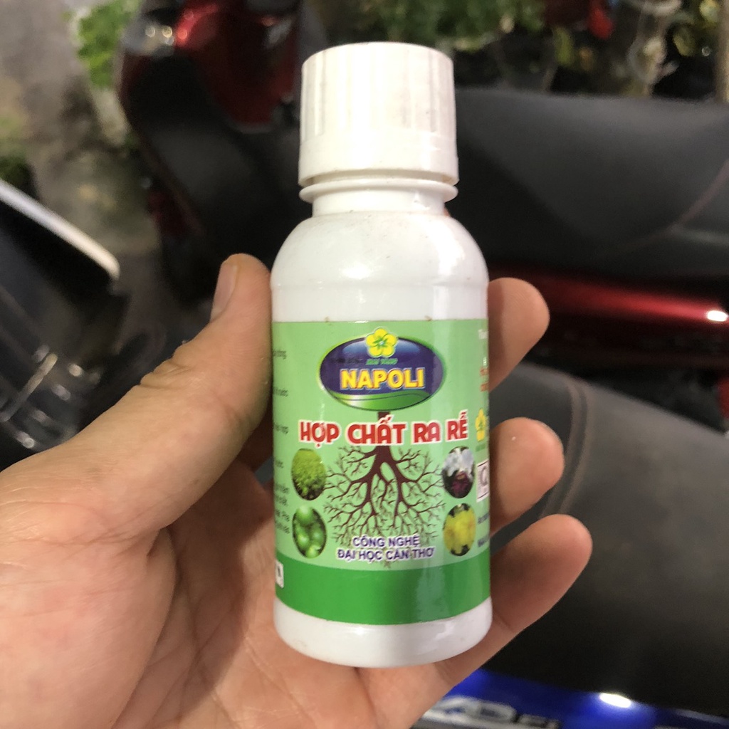 Phân bón Mai Vàng Hợp Chất Ra Rễ NAPOLI 100ml Đại học Cần Thơ | VTNN Cần Thơ