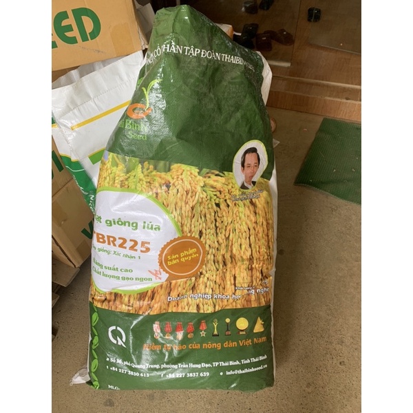 Hạt giống lúa TBR225
