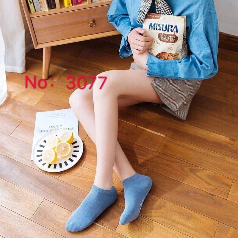 Hộp tất tuần 7 ngày