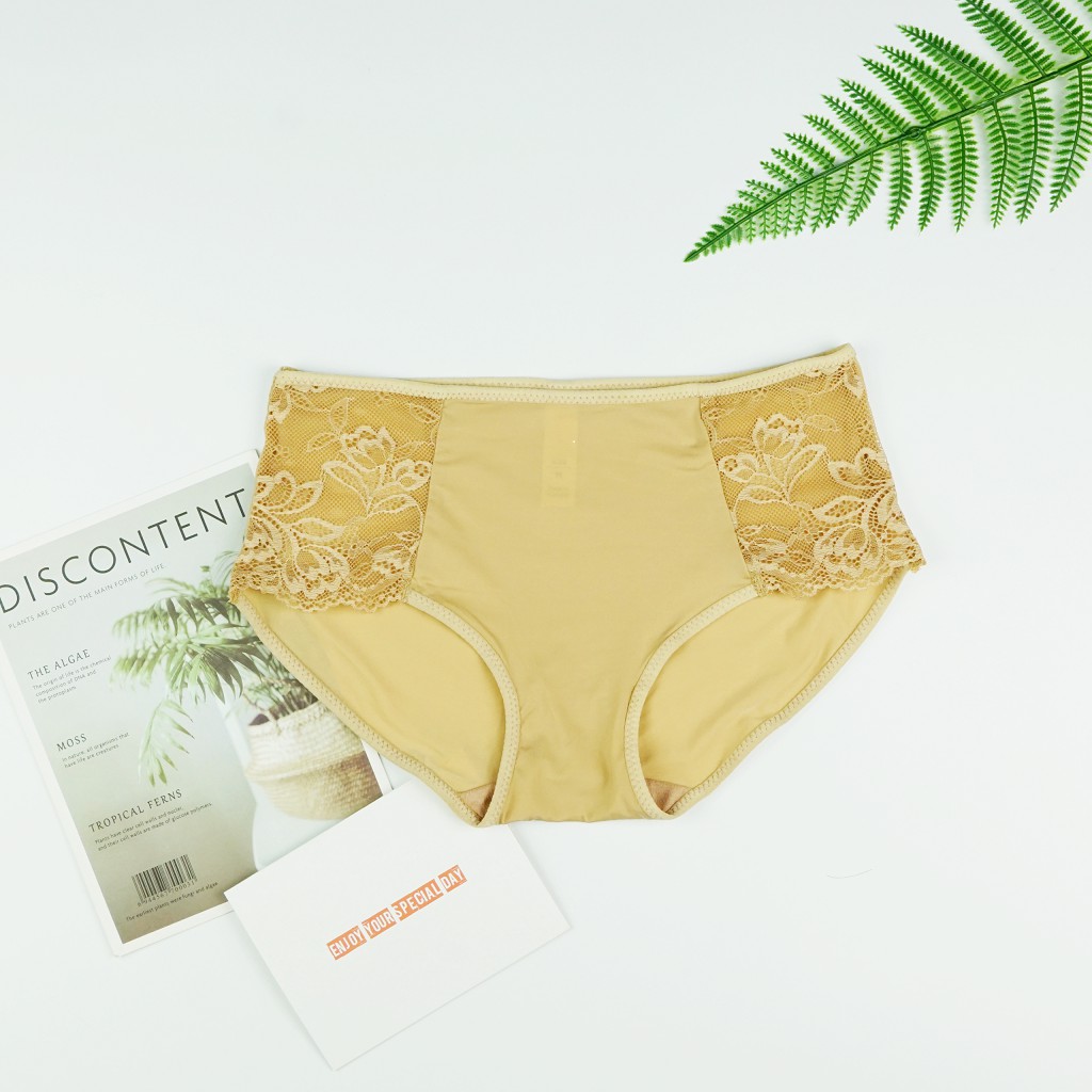Combo 7 Quần Lót Nữ Lưng Vừa Trơn Phối Ren Lưng Vừa Thoải Mái Petunia (Mustoto MQ46)