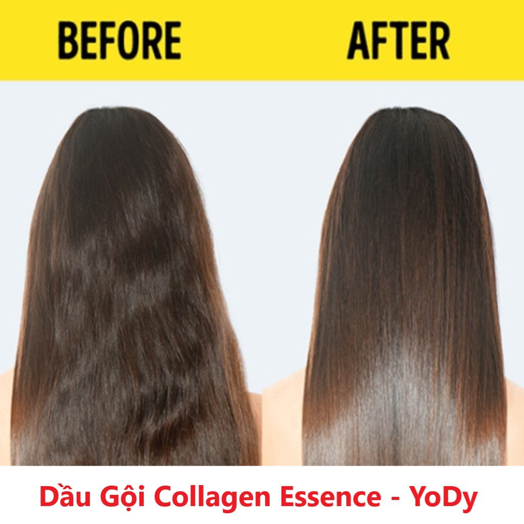 Dầu Gội - xả Cặp Colagen Essence Yody Hương nước hoa Phục Hồi Hư tổn,Mọc Tóc,Sạch Gầu,Hết Gẫy Rụng Chẻ Ngọn 800mlx2 Chai