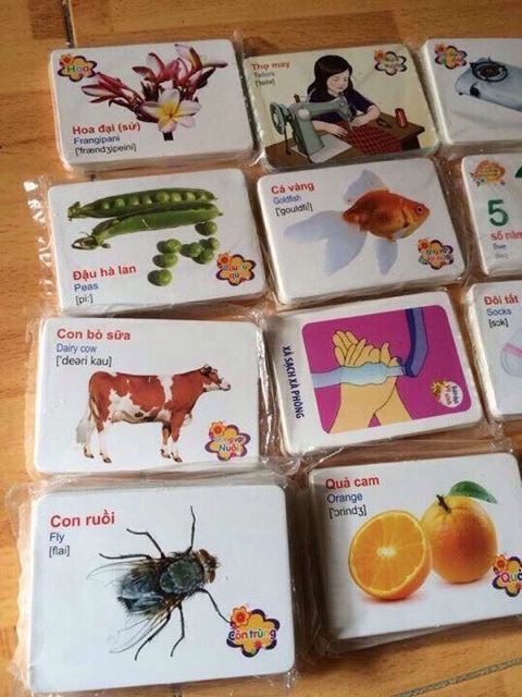 Bộ thẻ học cho bé kt 7x10cm (416 thẻ)