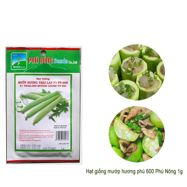 Hạt Giống Mướp Hương F1 Dễ Trồng, Thơm, Ngọt