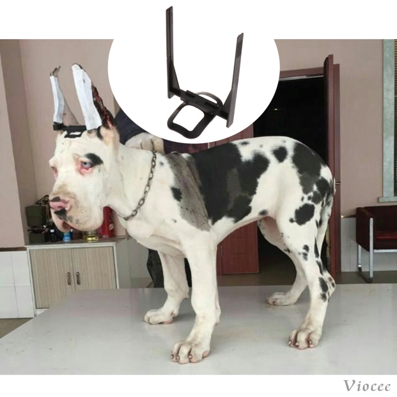 Miếng dán tai đứng chăm sóc độc đáo cho thú cưng