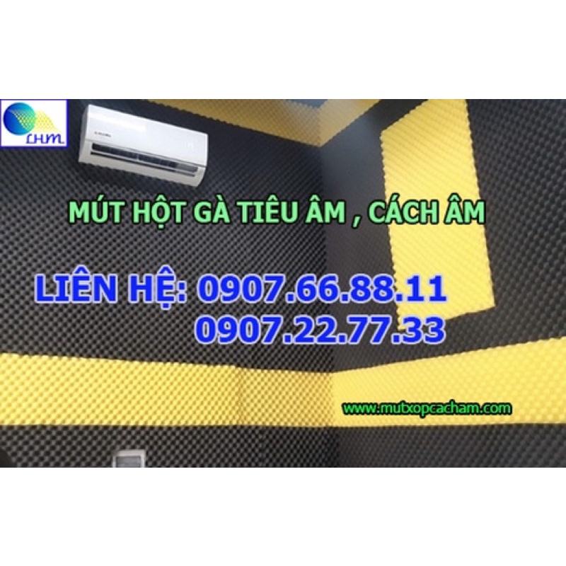 Mút Tiêu Âm Trứng Hột Gà Rộng 1m6 x Dài 2m