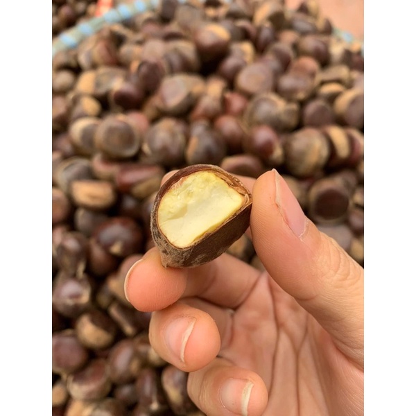 Bánh Hạt Dẻ/ Bánh Óc Chó Bao Ngon Ngọt