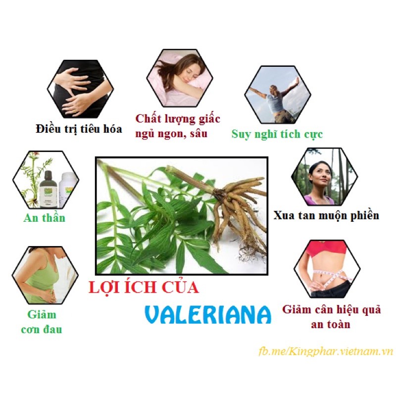 Thảo Dược An Thần Ngủ Ngon VALENA Kingphar - Hộp 30 Viên - Giúp an thần, gây ngủ, tạo giấc ngủ đến nhanh, tự nhiên