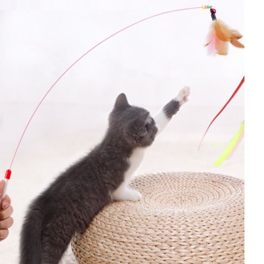 Cần câu mèo lông vũ - Đồ chơi que trêu mèo chất liệu cao cấp siêu bền - Gia Huy Pet Shop