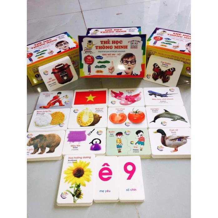 Bộ Thẻ Học Thông Minh cho bé 16/18 Chủ Đề thẻ học Glenn Doman loại to song ngữ Flashcard tiếng Anh (Hibaby+)