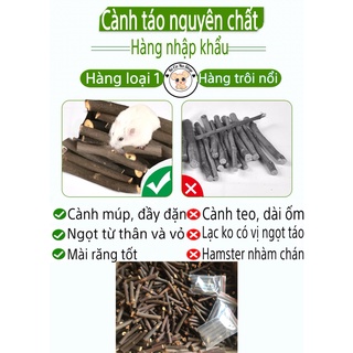 cành táo nguyên chất cho hamster và các loại gậm nhấm ( bịch 5 cây) bé cà na