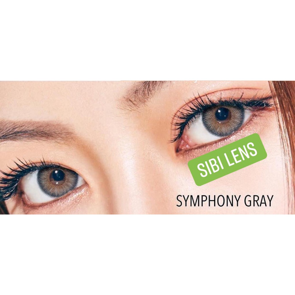 Lens Symphony Gray - Lens Chuẩn Thái - Cam Kết Chính Hãng