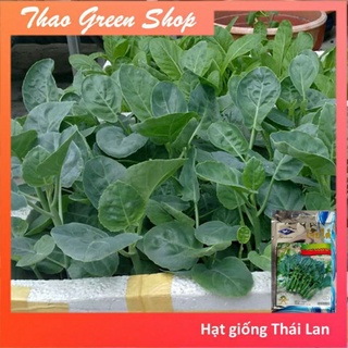 20 gr Hạt giống cải rổ(cải làn)