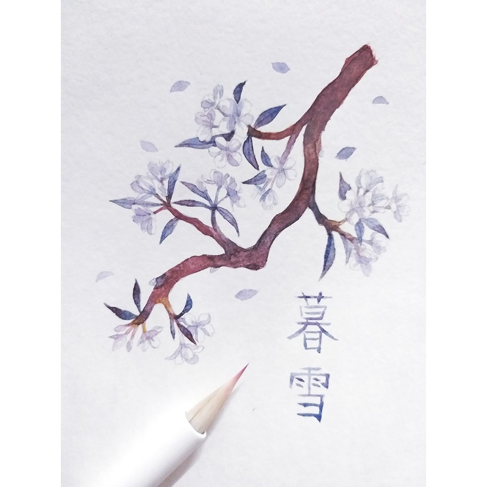 Bộ cọ vẽ Mộ Tuyết