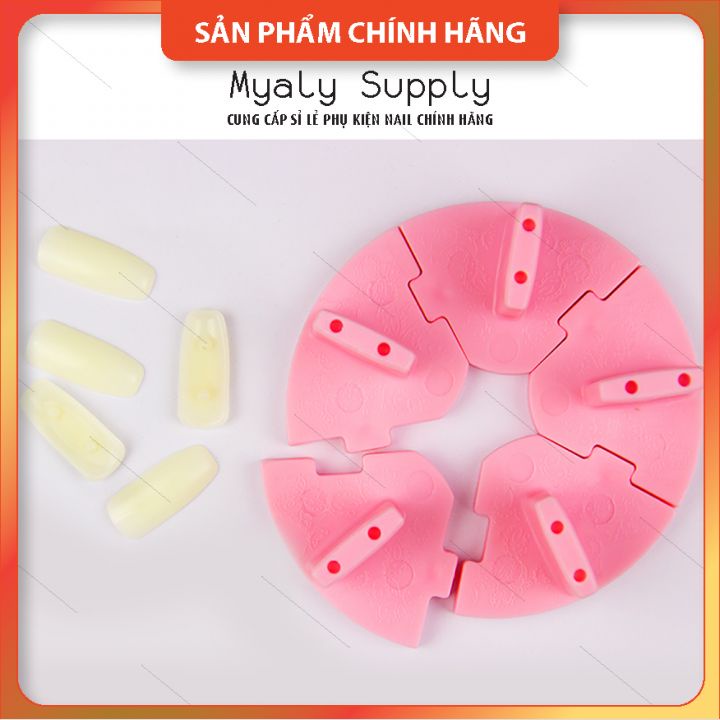 Đế Gắn Móng Giả Tập Vẽ Đế Nhựa Gắn Móng Mẫu Tập Sơn SP000224