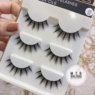 Mi chồn 3D