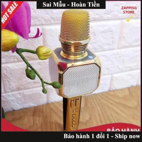 Loa bluetooth,Micro kèm loa Bluetooth Karaoke SD-10 (Model 2018 cực hay)  - Bảo hành 1 đổi 1