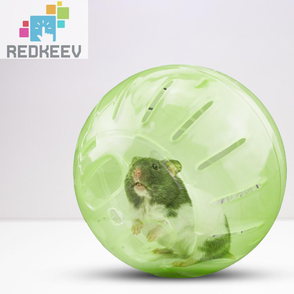 Bóng lăn nhựa 12cm dùng chạy vận động dành cho chuột hamster