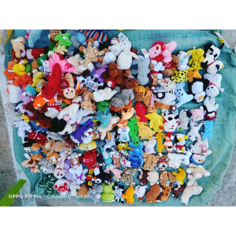 Gấu bông mini 5_7cm hàng nhỏ, lỗi nhẹ thanh lý, đồ chơi thú cưng