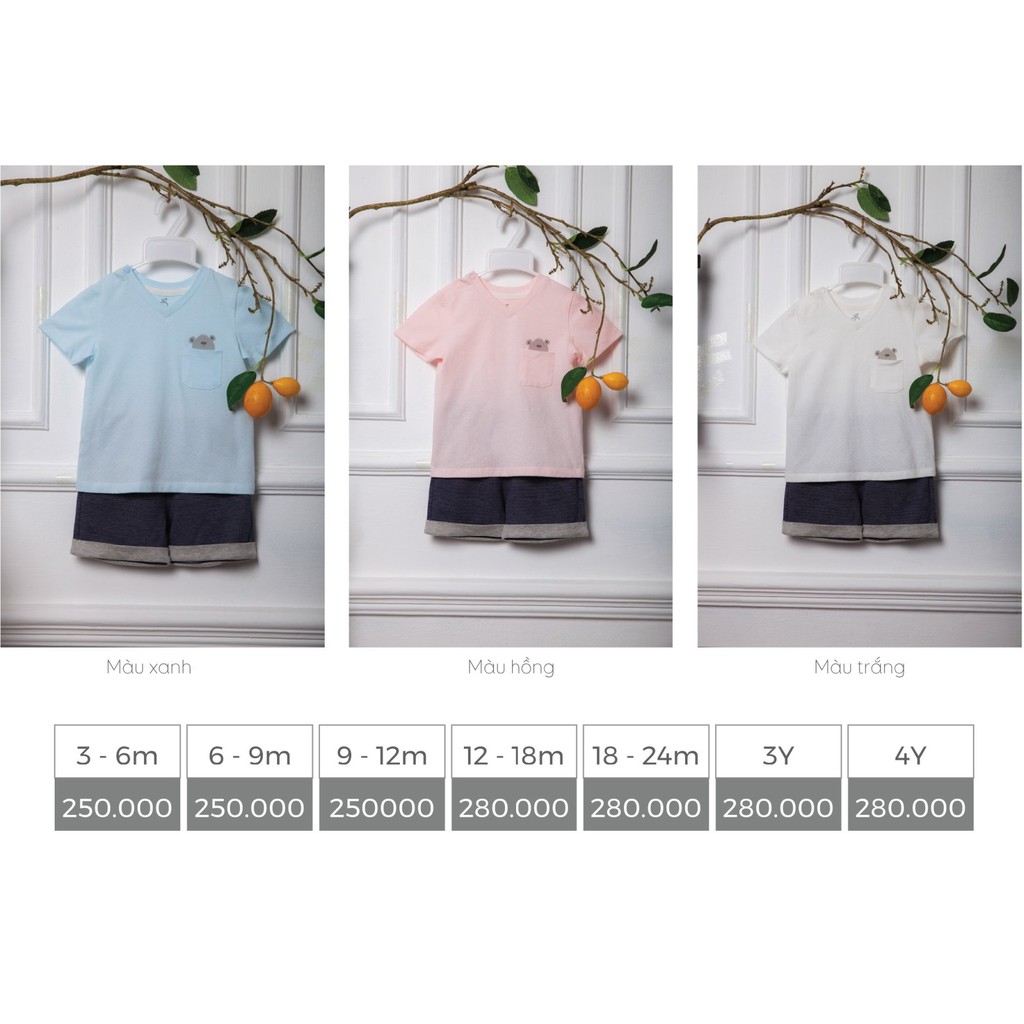 [LA POMME DELUXE] Cộc tay cài vai gấu nhỏ