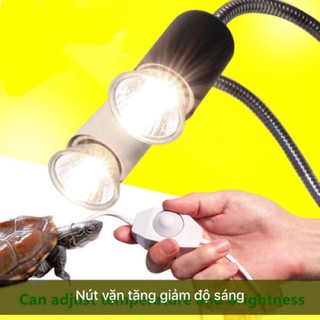 Set kẹp đèn và đèn UVA UVB cho bò sát