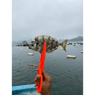 Combo 3 cái kẹp cá nhựa câu cá