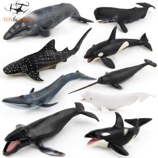 Mô hình chú cá voi đồ chơi cho bé Mô phỏng động vật biển cá voi mô hình đồ chơi đồ trang trí