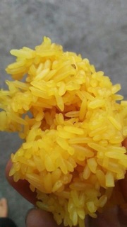 cây nếp nấu xôi