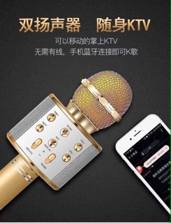 Mic hát karaoke WS 858