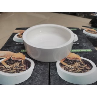 Chén đựng thức ăn cho bò sát