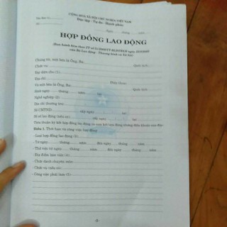 Hợp đồng lao động ( 10 tờ)