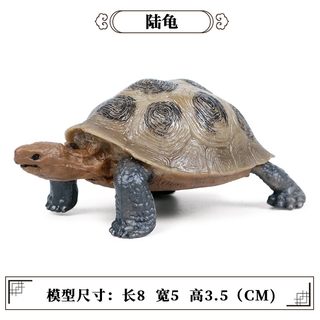 Mô Hình Rùa GOROCK Đồ Chơi Dưới Nước Thú Vị Cho Bé