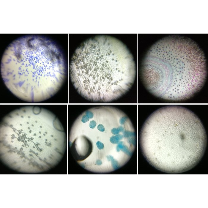 Kính Hiển Vi Giấy Foldscope - Khám Phá Thế Giới Vi Sinh Vật Kỳ Diệu