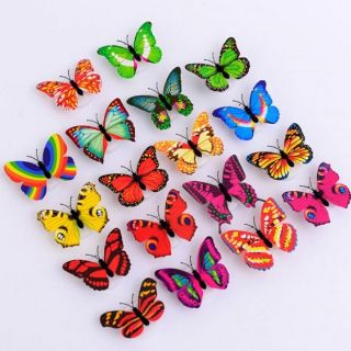 Combo 10 bươm bướm dán tường có đèn led
