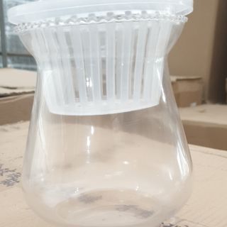 Chậu thủy sinh thủy tinh mỏng