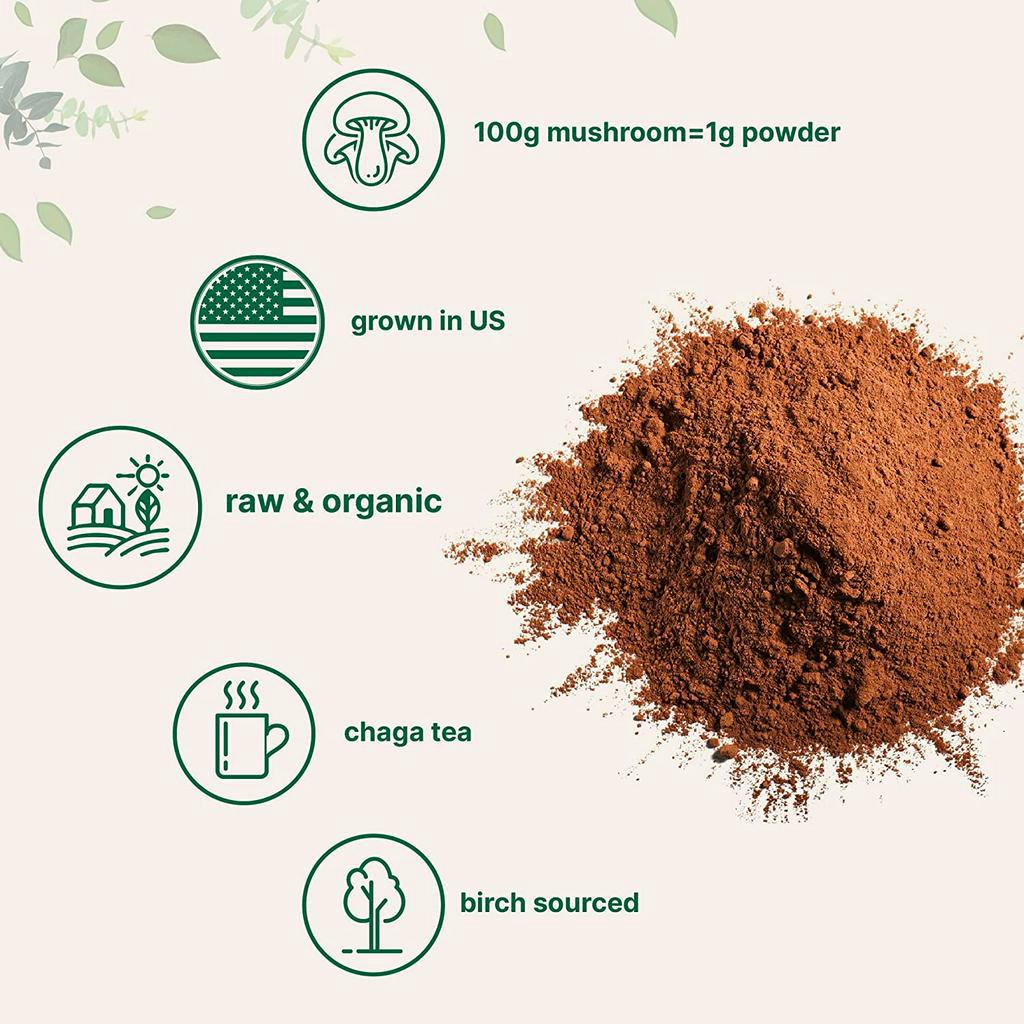 Bột Nấm Chaga Micro Ingredient giúp trẻ hóa da, giảm nhăn và tăng cường tuổi thọ, tăng sức đề kháng