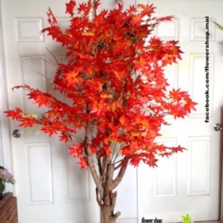 Cành  phong làm cây phong giả Cành cao 60-68cm