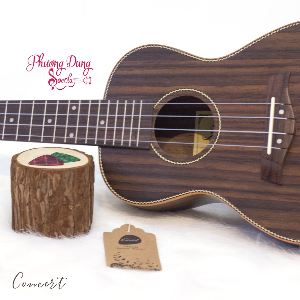 Đàn Ukulele Gỗ Cẩm Ấn chính hãng Music - size Concert