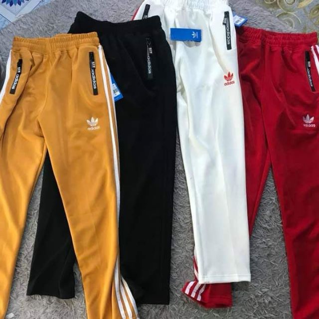 Quần adidas