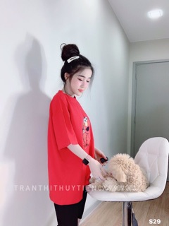 Sét đồ bộ quần lửng