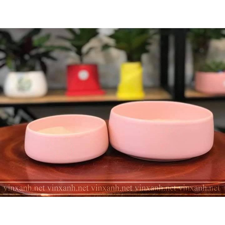 Chậu sứ trồng cây mix sen đá, xương rồng, cây cảnh để bàn đường kính 13-17cm