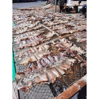 500GR CÁ ĐUỐI BIỂN KHÔ PHAN THIẾT(PHƠI MỘC)