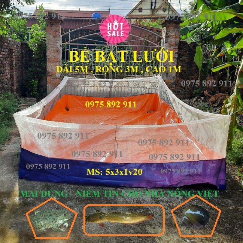 BỂ BẠT LƯỚI NUÔI ỐC ẾCH CÁ