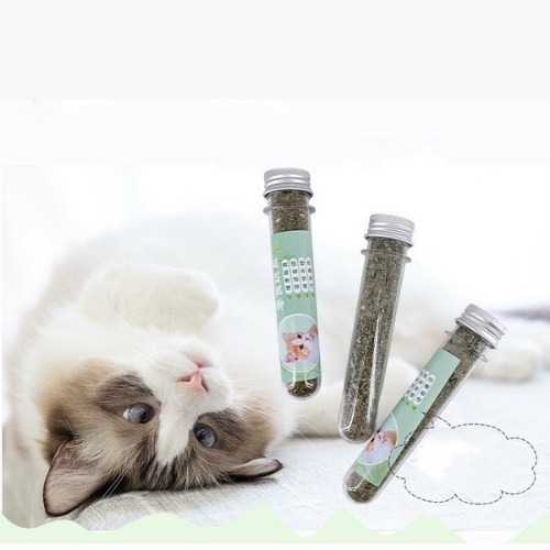 [Mã 155FMCGSALE giảm 7% - tối đa 100K đơn 500K] Cỏ Mèo Bạc Hà Catnip Khô - Ống 50 gram - Phụ kiện thú cưng giá rẻ