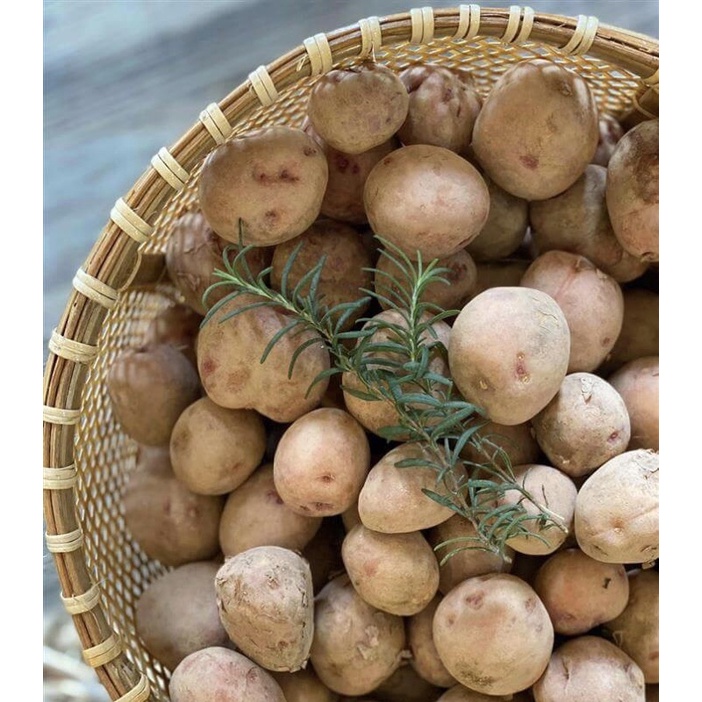 Khoai tây bi ĐÀ LẠT - Rau củ sạch tại vườn