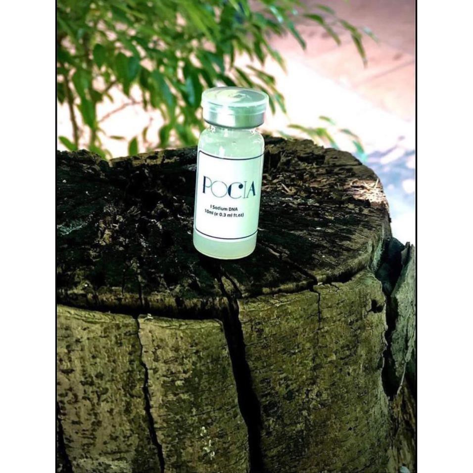 Tế bào gốc se khít lỗ chân lông POCIA, lọ 10ml - SPAMALL