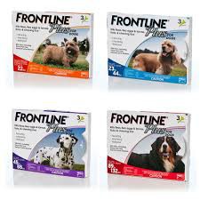 Dung dịch nhỏ gáy Frontline Plus trị ve, bọ chét chó - Hàng Pháp chính hãng