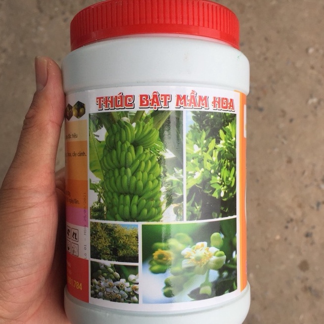 Phân Kích Rễ TC02 Siêu Lân Hũ 1kg bột xanh Chuyên Dùng Cho Hoa, Cây Cảnh, Cây Ăn Quả, Cây Công Trình