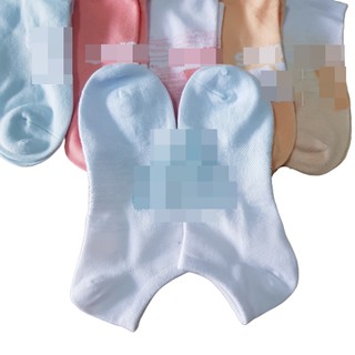 Combo 2 đôi vớ cổ ngắn nữ màu pastel