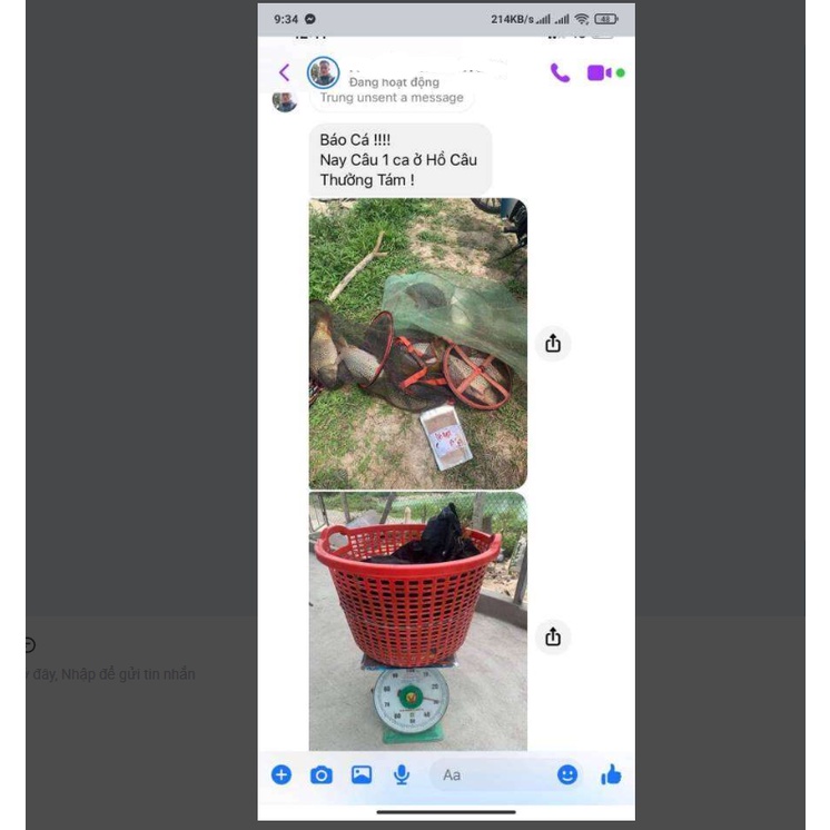 ..Cần câu đơn cần câu tay GW 8H 3m6 4m5 5m4 6m3